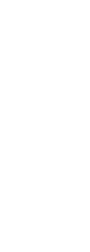border white